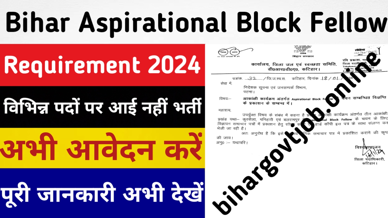 Bihar Aspirational Block Fellow Requirement 2024